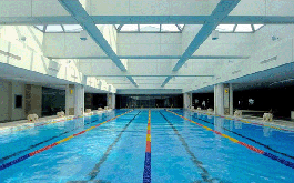 三氯異氰尿酸廠